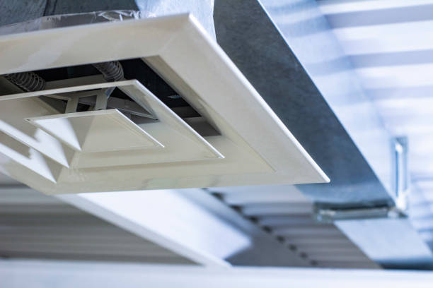 Best Air Duct Mold Removal  in Nicollet, MN