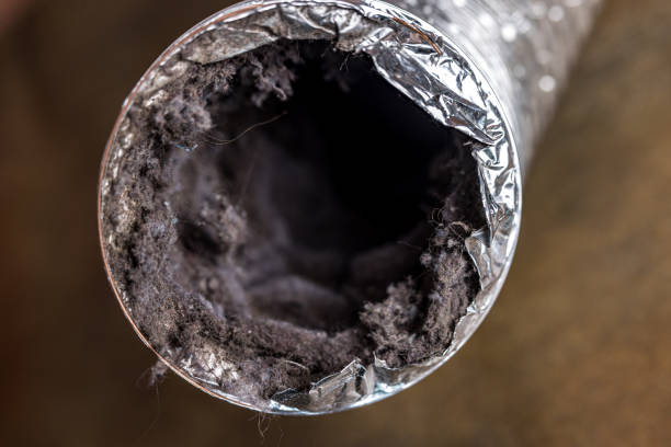 Best HVAC Duct Inspection Services  in Nicollet, MN