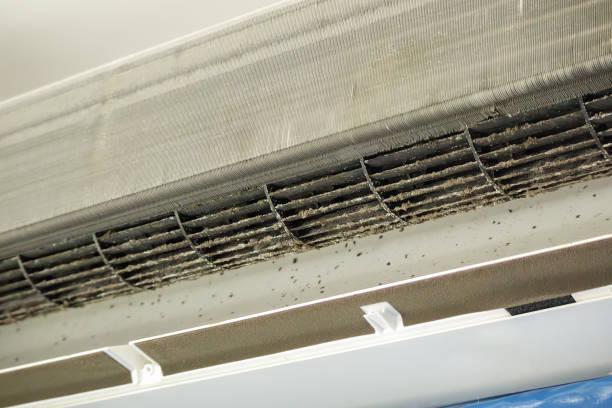 Best Emergency Air Duct Cleaning  in Nicollet, MN